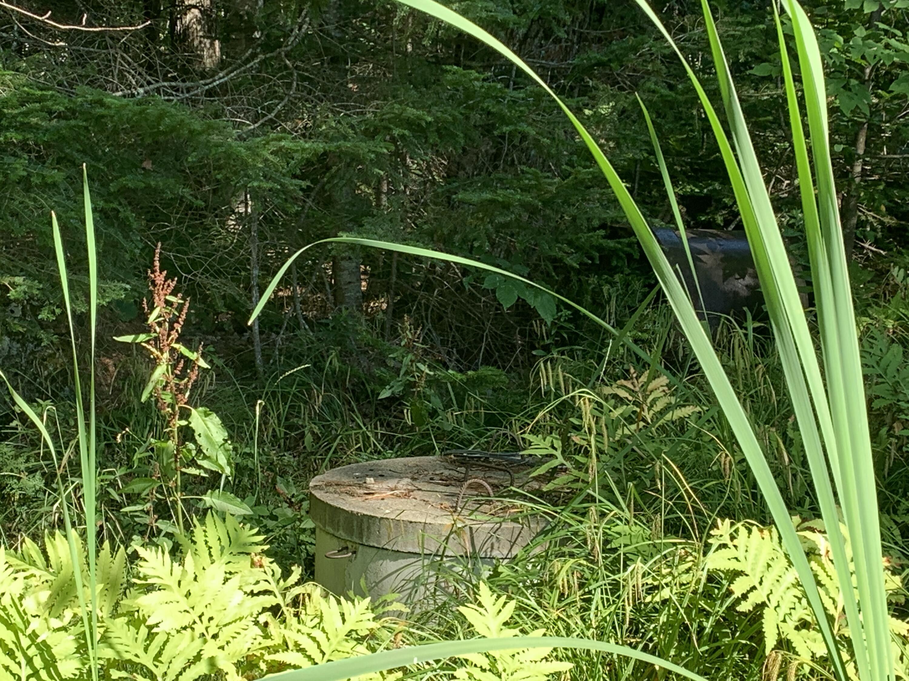 4 Pleasant Point Road Lovell, ME 04051 - Photo 36 of 36 Dug Well