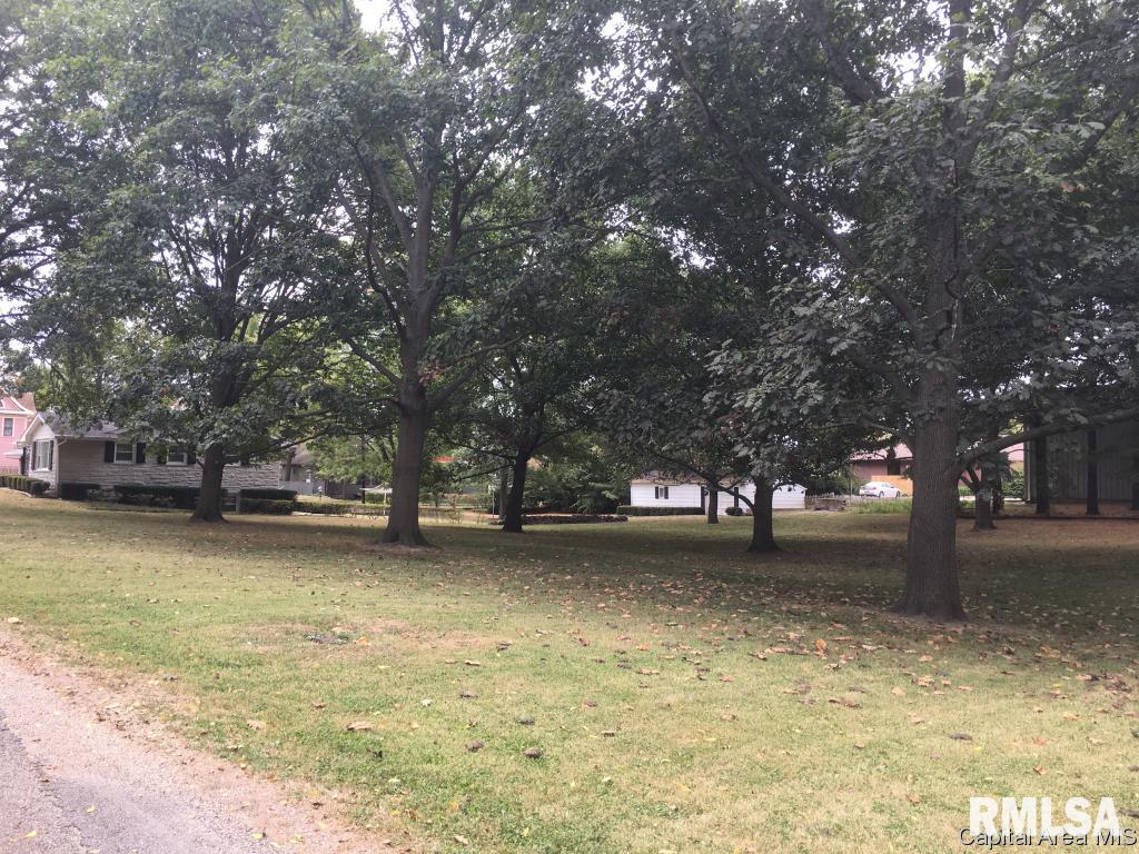 201 Maple Street Athens, IL 62613 - Photo 12 of 34 Gallery Image 12