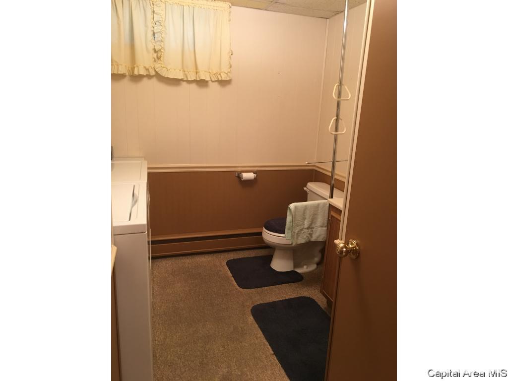 201 Maple Street Athens, IL 62613 - Photo 29 of 34 Gallery Image 29