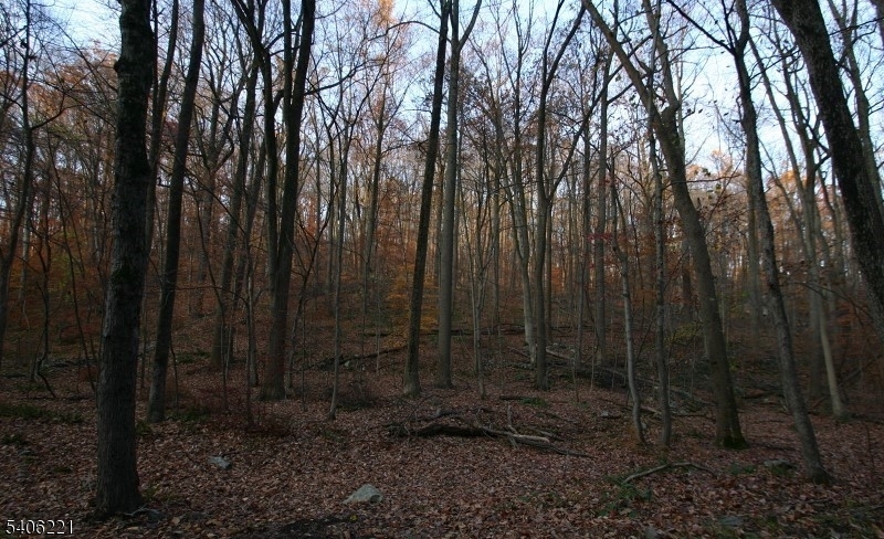 0 Sweet Hollow Road Milford, NJ 08848 - Photo 7 of 14