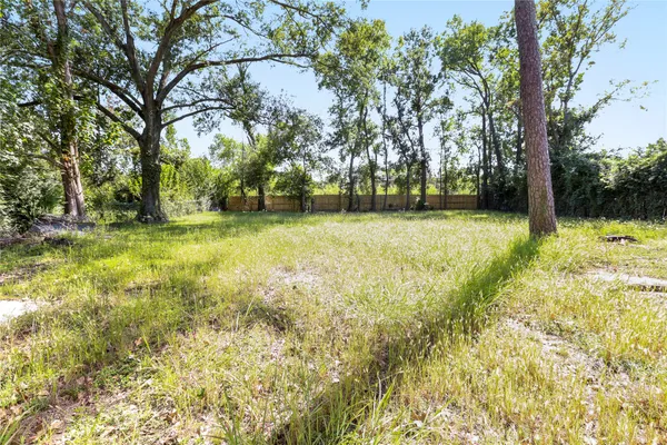 a view of a yard with trees