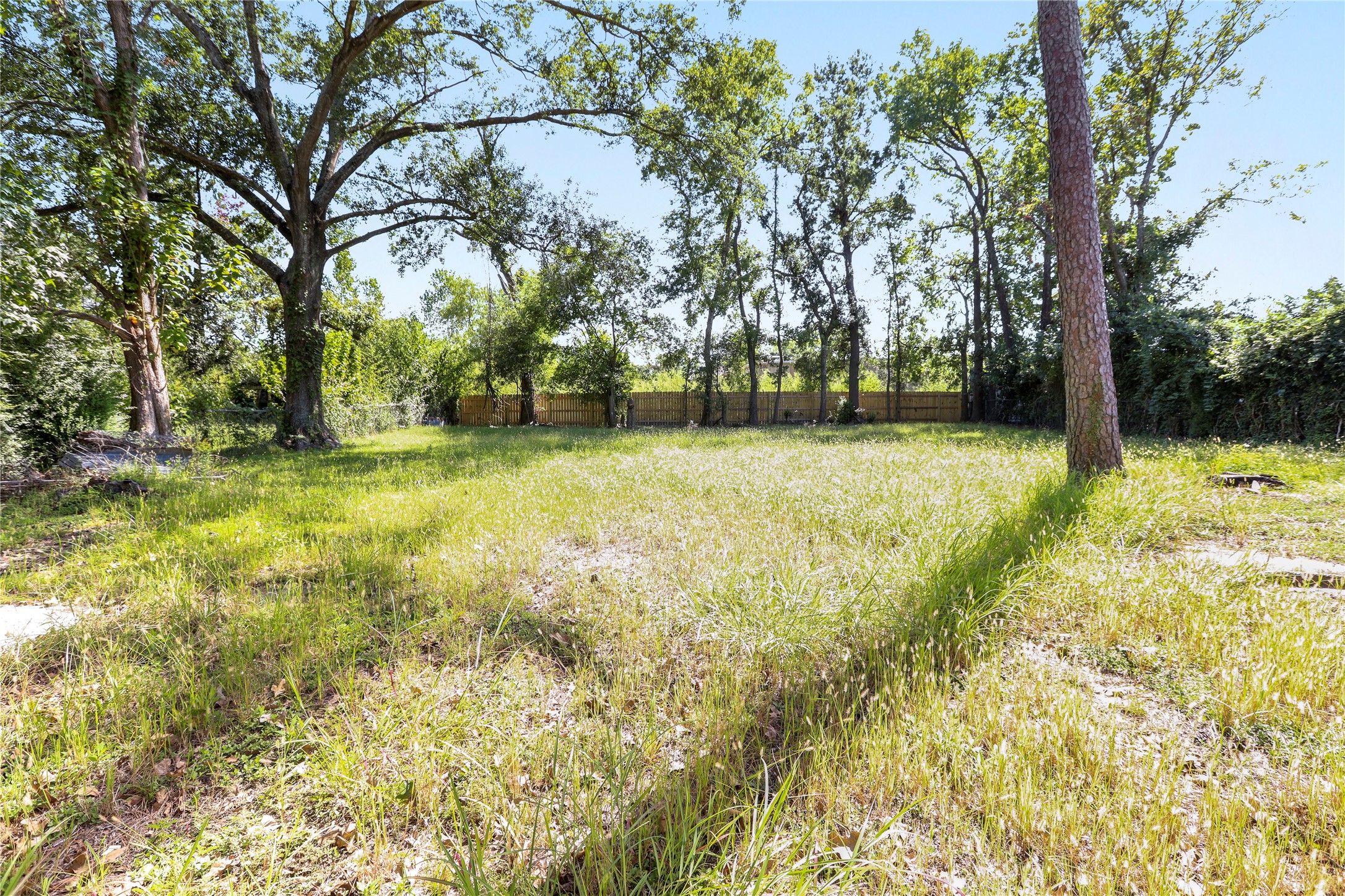 4606 Antha Street Houston, TX 77016 - Photo 16 of 27 a view of a yard with trees