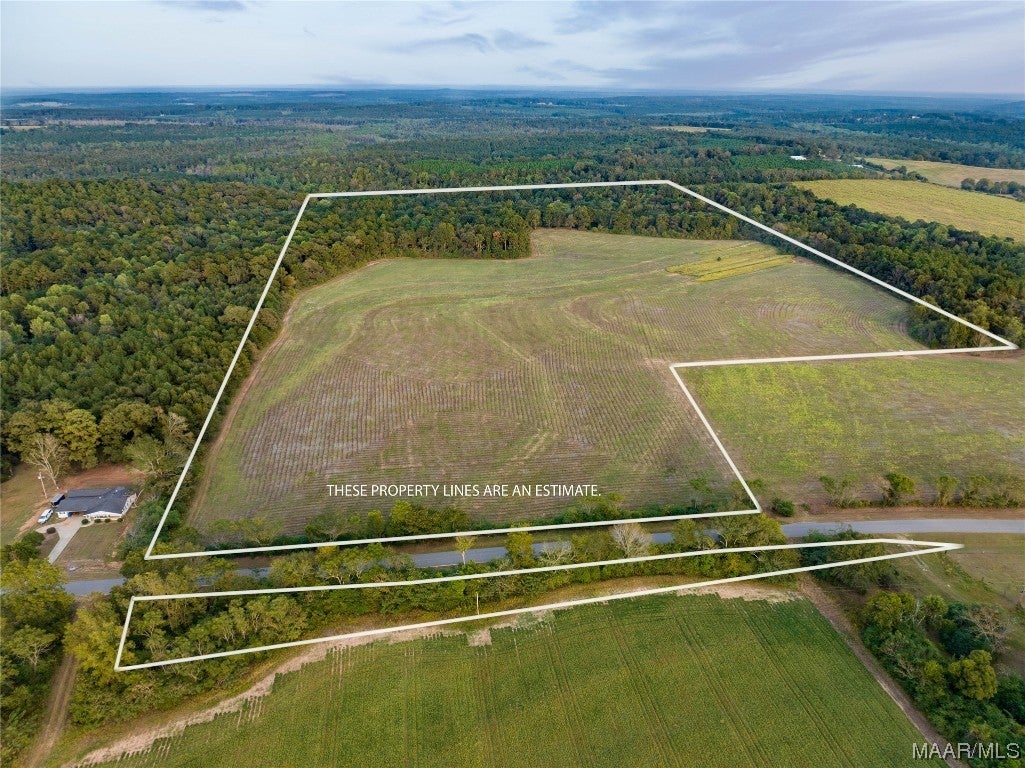 337 County Road 337 Brantley, AL 36009 - Photo 1 of 36 Gallery Image 1
