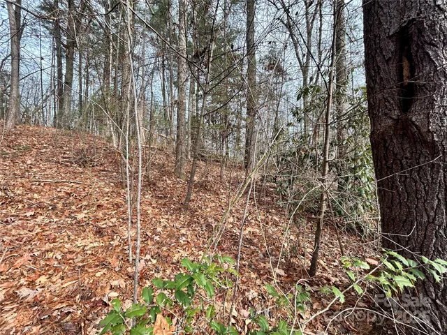 $85,000 | 0 Cypress Creek Lane, Unit 22, Hendersonville, NC 28791