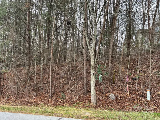 $85,000 | 0 Cypress Creek Lane, Unit 22, Hendersonville, NC 28791