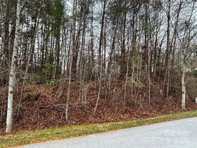 $85,000 | 0 Cypress Creek Lane, Unit 22, Hendersonville, NC 28791