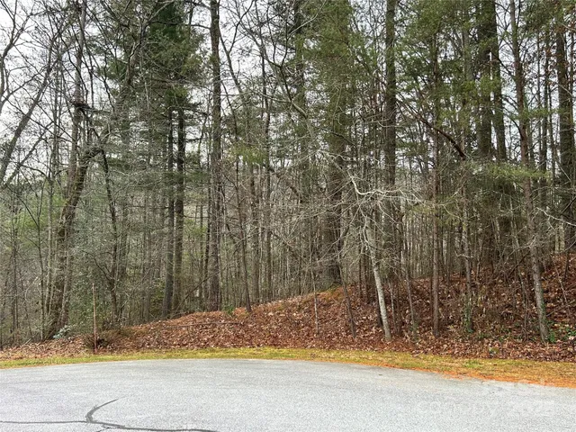 $85,000 | 0 Cypress Creek Lane, Unit 22, Hendersonville, NC 28791