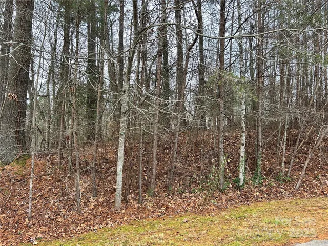 $85,000 | 0 Cypress Creek Lane, Unit 22, Hendersonville, NC 28791