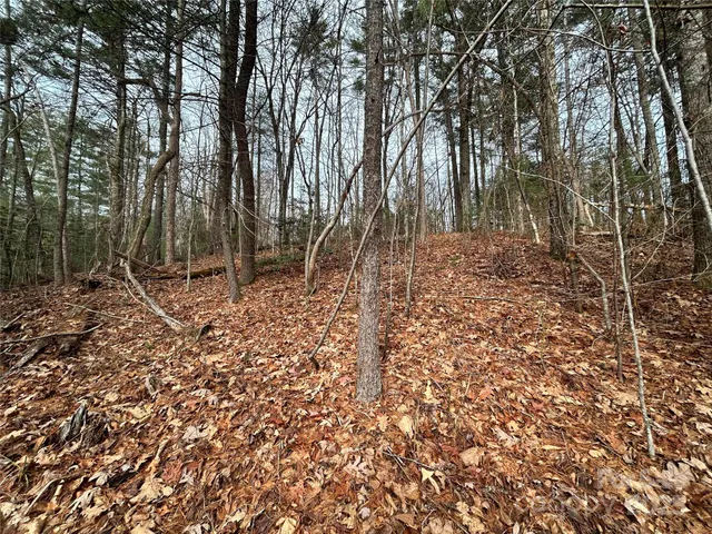 $85,000 | 0 Cypress Creek Lane, Unit 22, Hendersonville, NC 28791