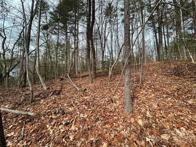 $85,000 | 0 Cypress Creek Lane, Unit 22, Hendersonville, NC 28791