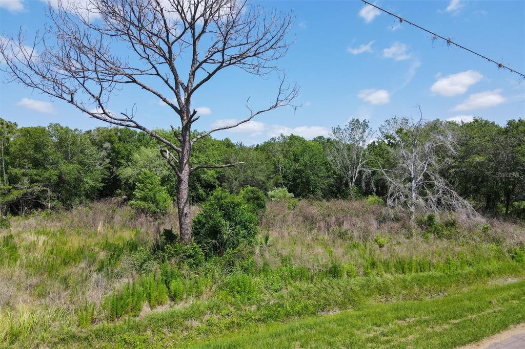 1729 Shenandoah Road Wimauma, FL 33598 - Photo 17 of 22