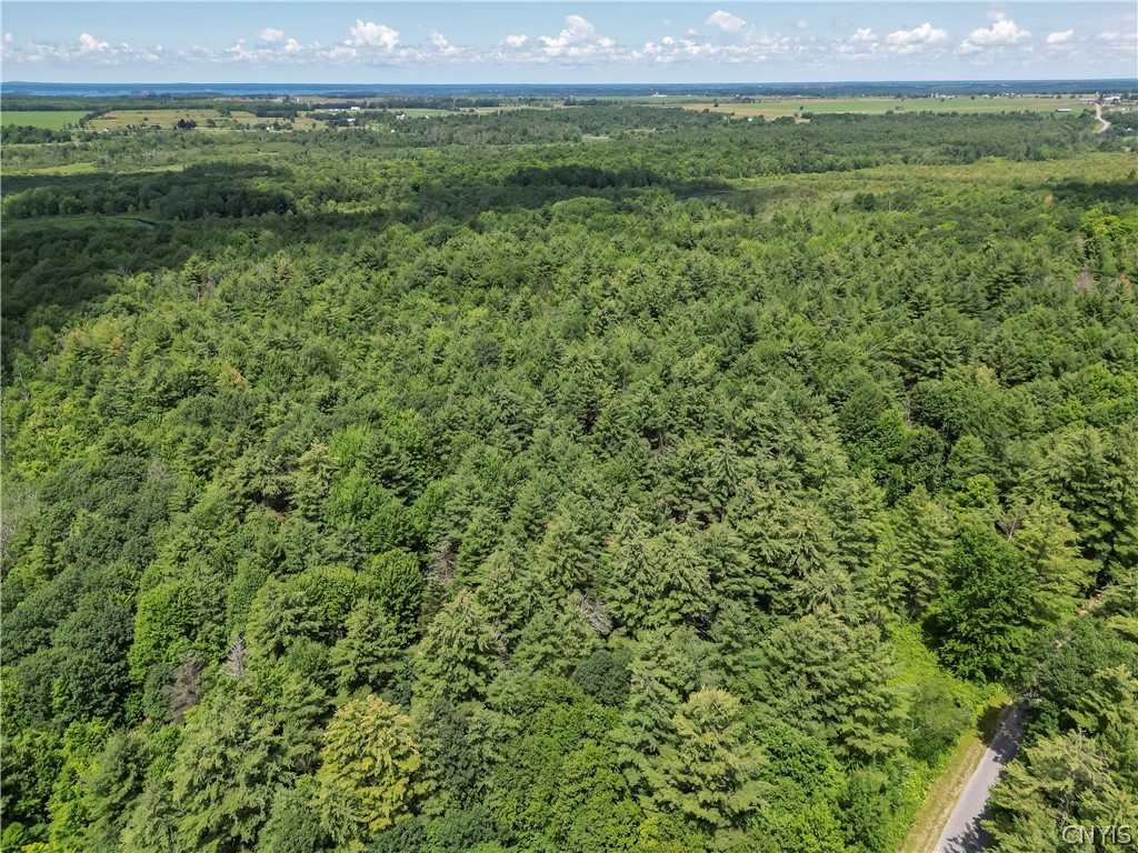 Split Rock Road Hammond, NY 13646 - Photo 6 of 8