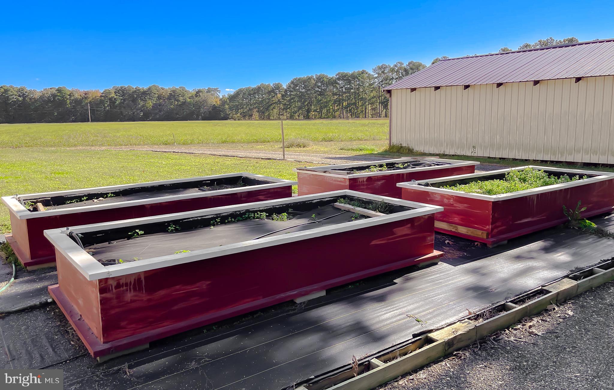 45146 Andover Estates Road Valley Lee, MD 20692 - Photo 16 of 95 Garden beds
