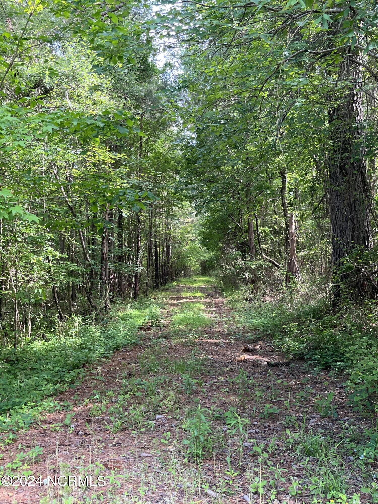189 Farrow Road New Bern, NC 28562 - Photo 6 of 14 IMG_6764
