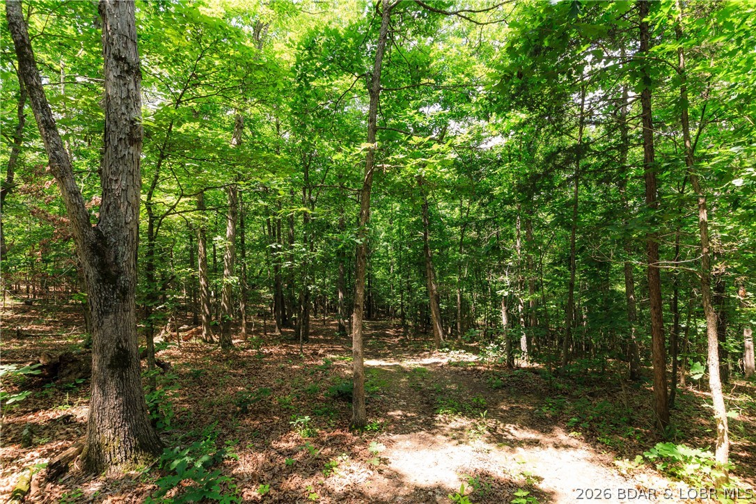 400 Hidden Acres Road Camdenton, MO 65020 - Photo 28 of 39