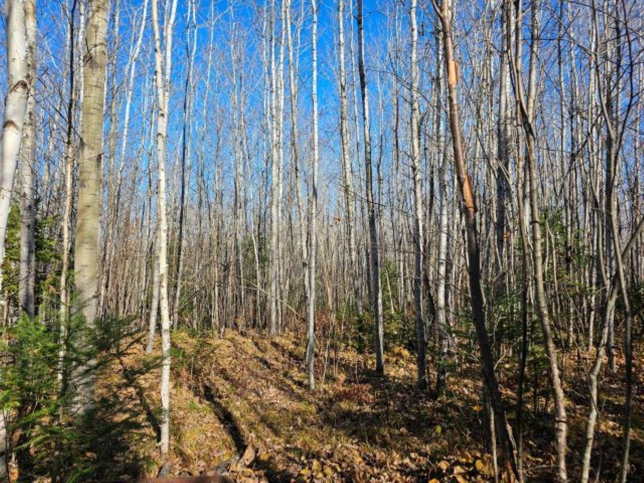 5913 North Adventures Trail Mercer, WI 54547 - Photo 13 of 15 Gallery Image 13