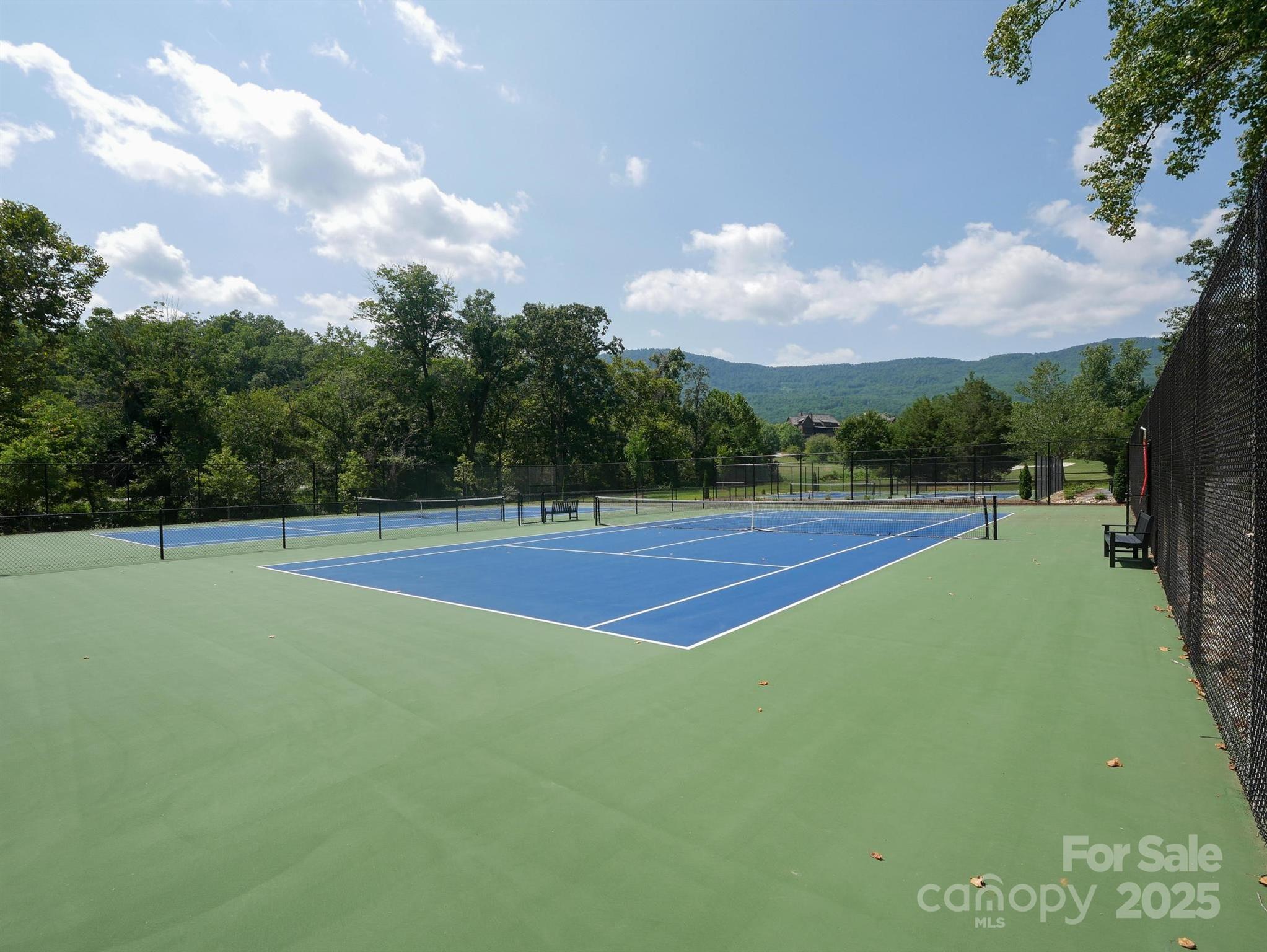 0 Deep Gap Rd Mill Spring East, Unit 59 Mill Spring, NC 28756 - Photo 20 of 25