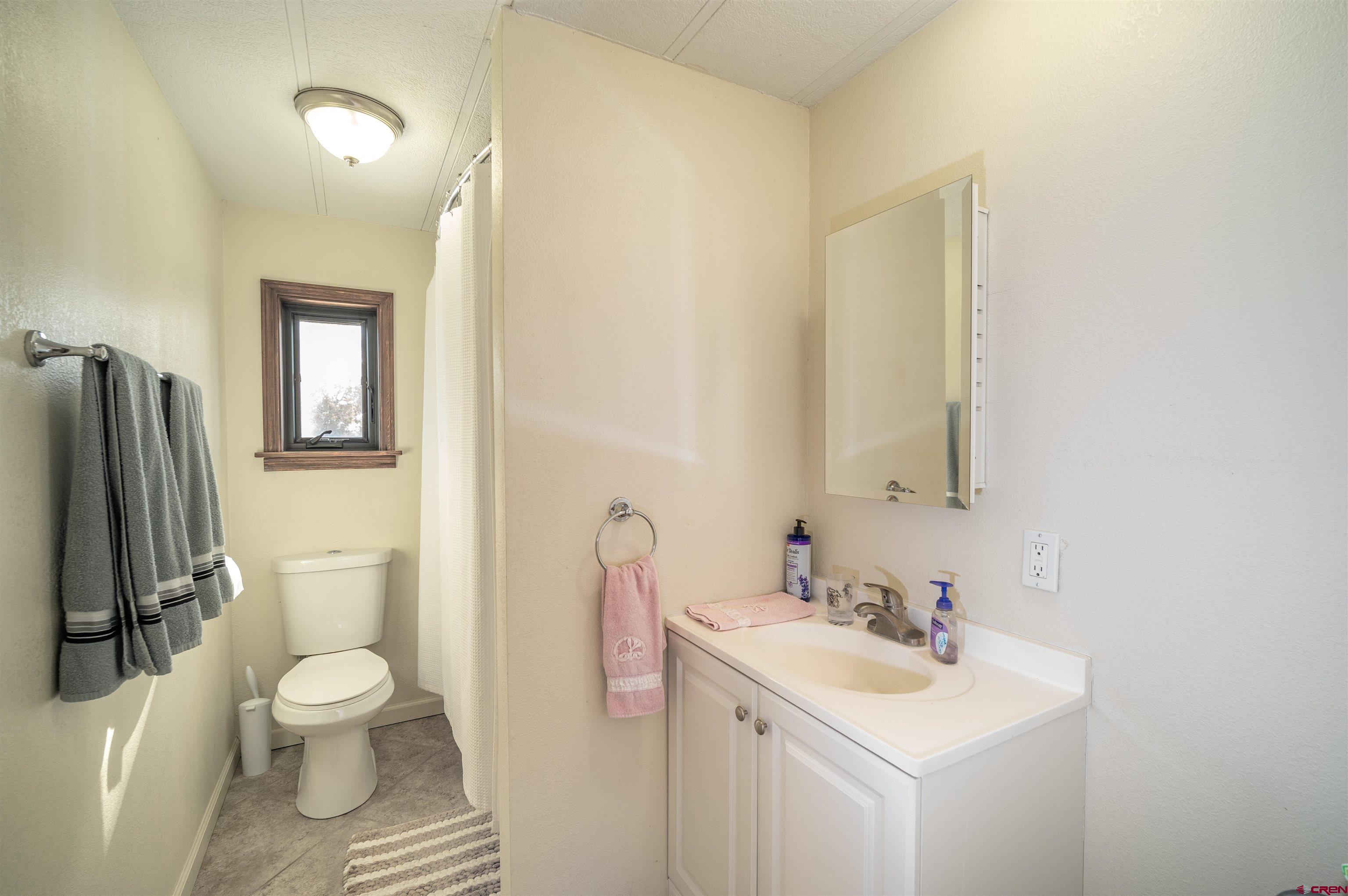 253 Valley Place Durango, CO 81303 - Photo 11 of 26 a bathroom with a toilet sink and a mirror