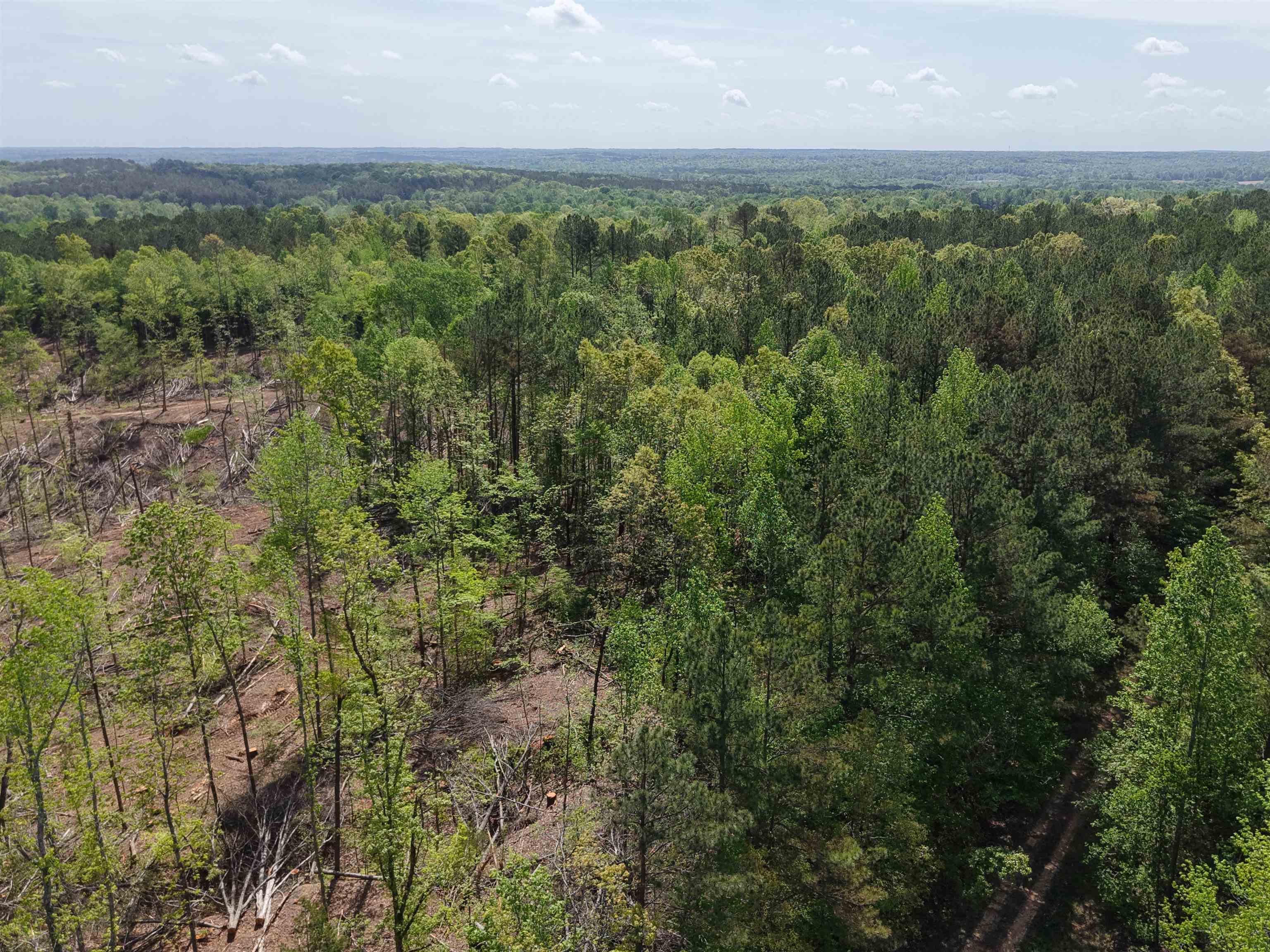 0 Maroney Road Medon, TN 38356 - Photo 36 of 37 Gallery Image 36