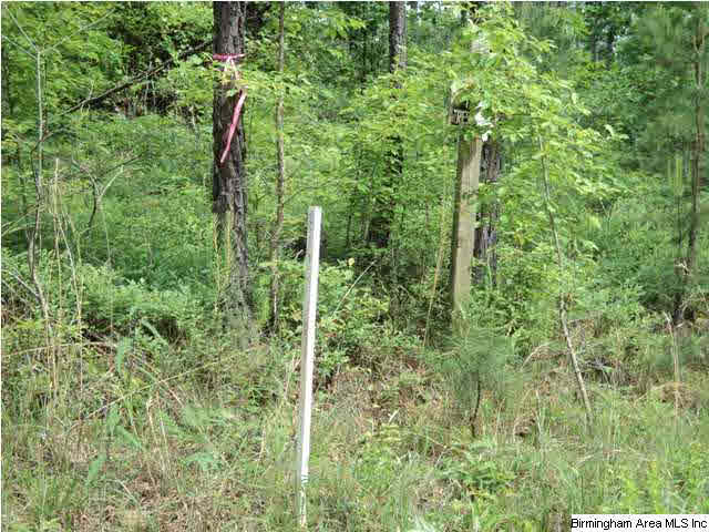485 County Road, Unit 110 Clanton, AL 35046 - Photo 5 of 22