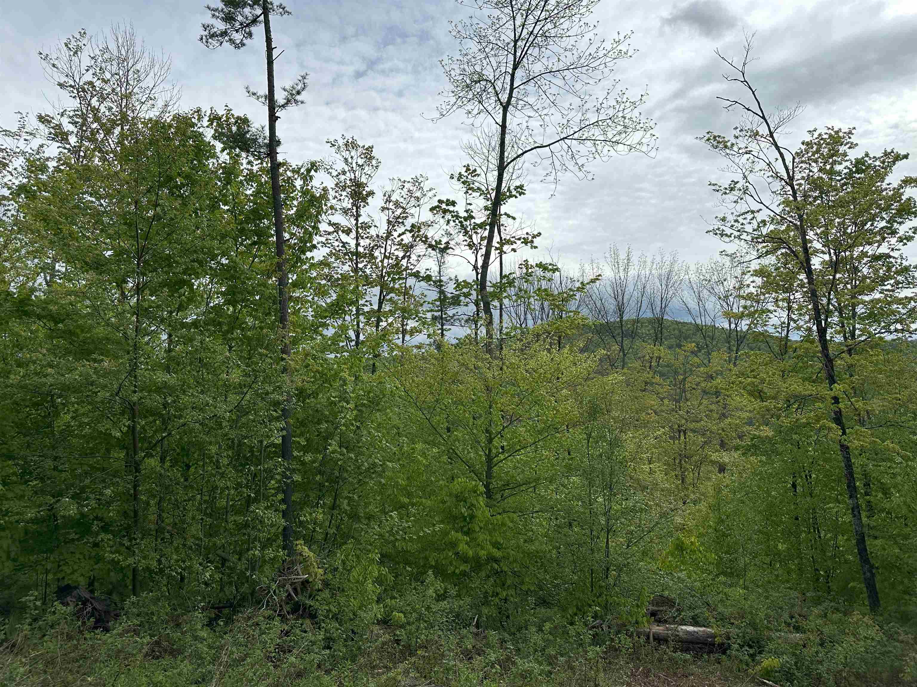 0 Hall Road Chelsea, VT 05038 - Photo 2 of 5