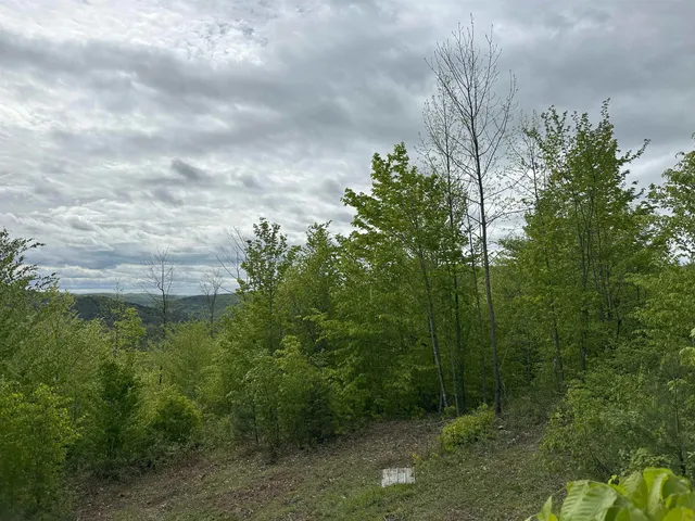 $295,000 | 0 Hall Road, Chelsea, VT 05038