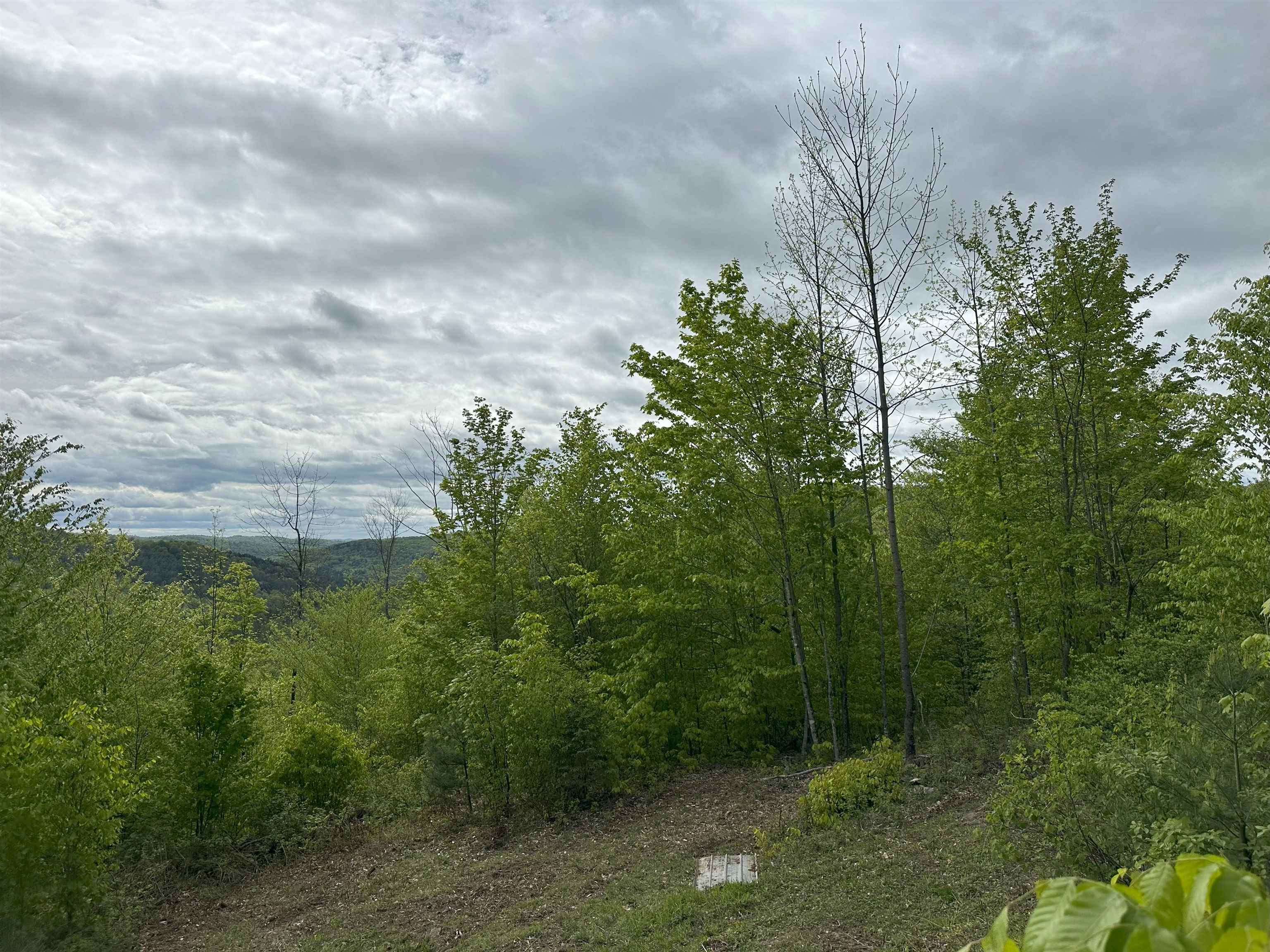 0 Hall Road Chelsea, VT 05038 - Photo 3 of 5