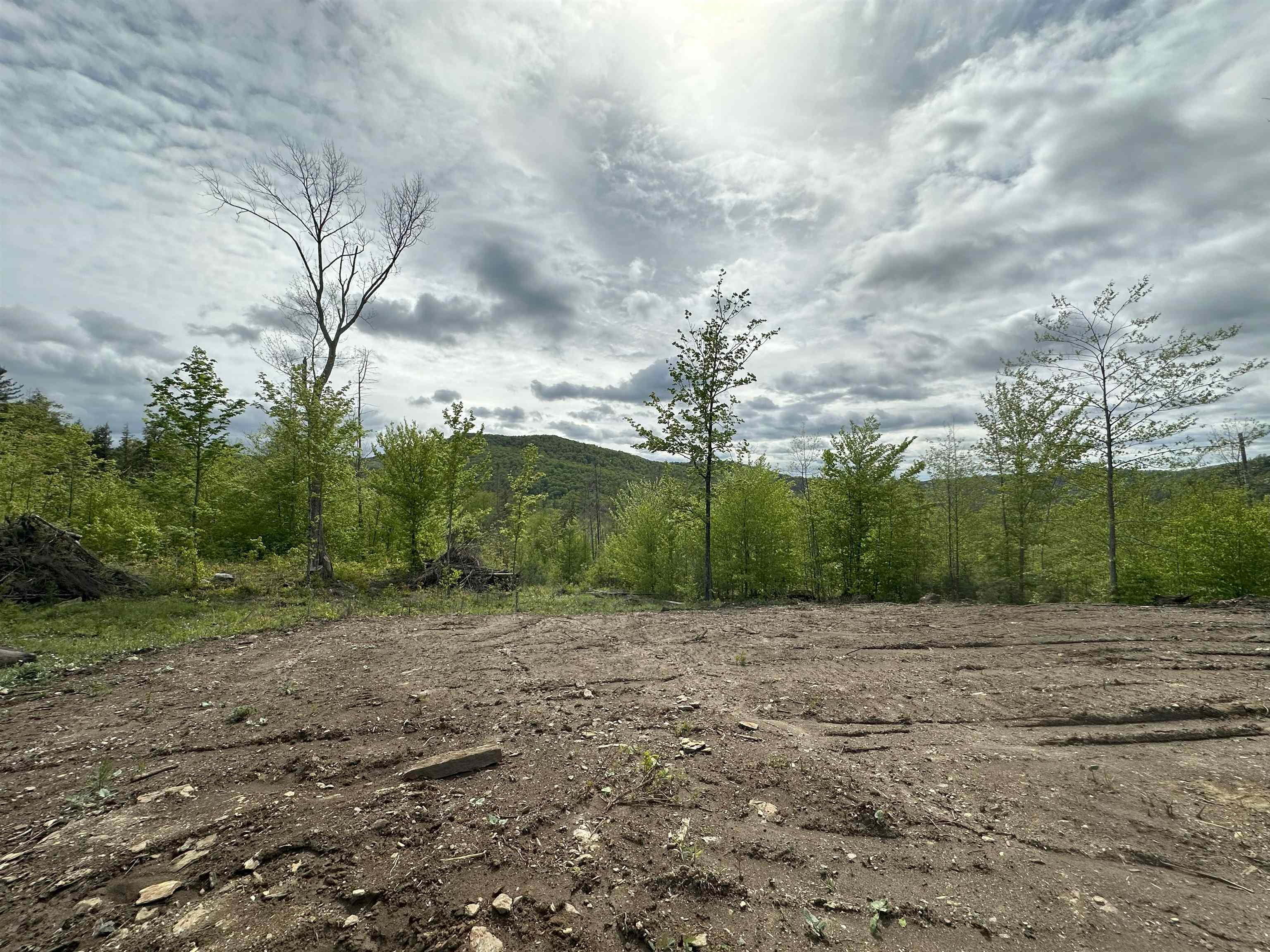 0 Hall Road Chelsea, VT 05038 - Photo 4 of 5