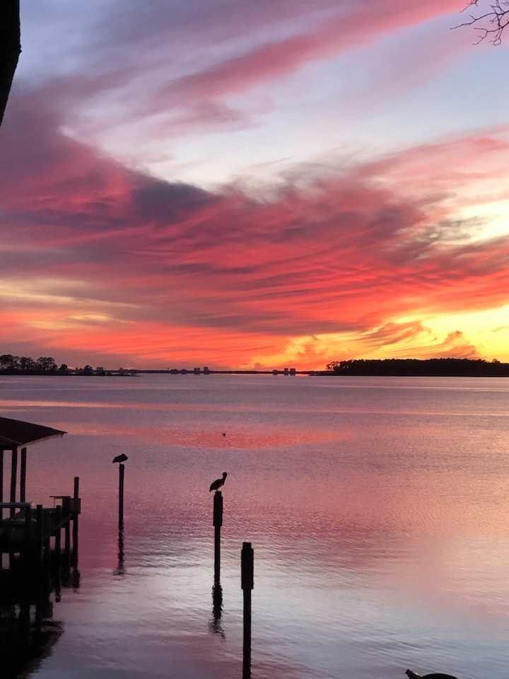 41 Waterview Place Freeport, FL 32439 - Photo 59 of 74 IMG_7388