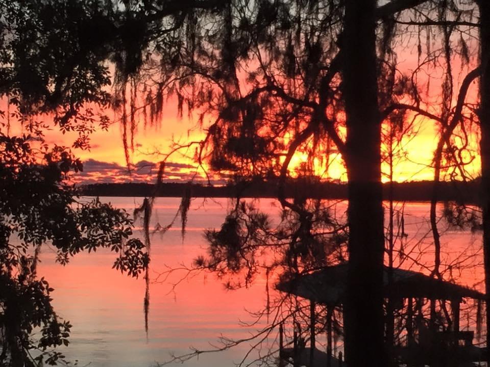 41 Waterview Place Freeport, FL 32439 - Photo 65 of 74 a view of tree