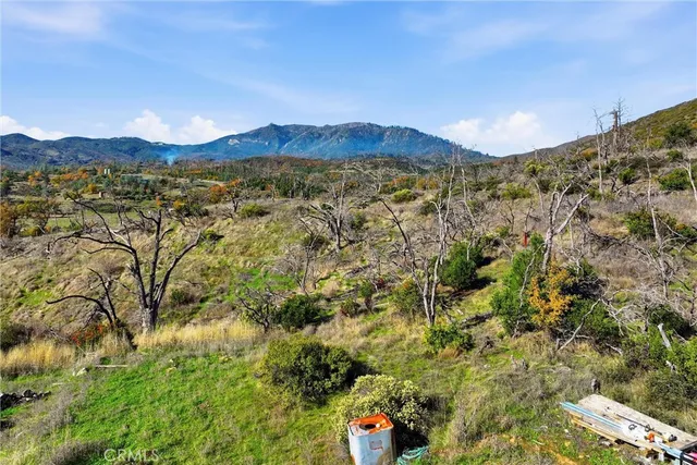 a view of a lush green forest with mountains in the background