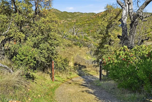 a view of a lush green field with a mountain in the background
