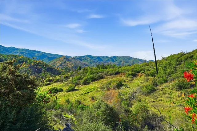 a view of a lush green field with a mountain in the background