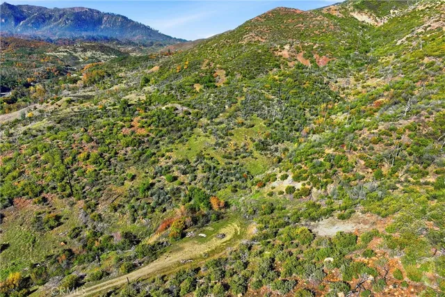 a view of a lush green hillside and houses