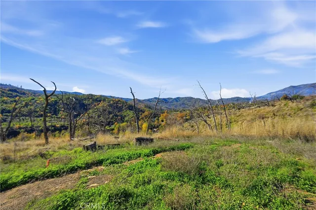 a view of a green field