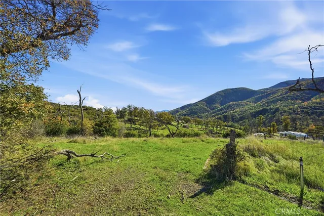a view of a field with an ocean