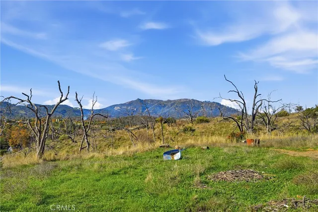 a view of an outdoor space and a yard