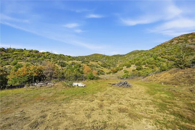 a view of a bunch of trees and houses