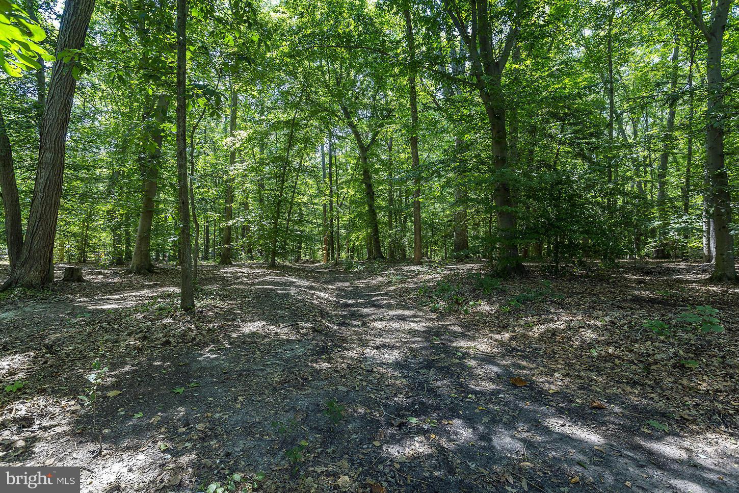 29218 Howell Point Road Trappe, MD 21673 - Photo 23 of 29 Exterior (General)