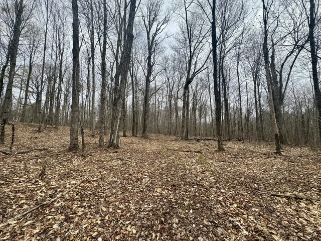 Lot 4 Shaver Hill Road Meridale, NY 13806 - Photo 19 of 44