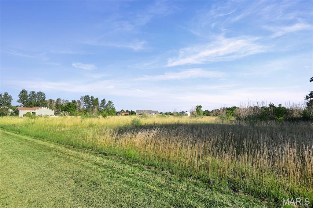 9710 Hosto Road Worden, IL 62097 - Photo 2 of 2