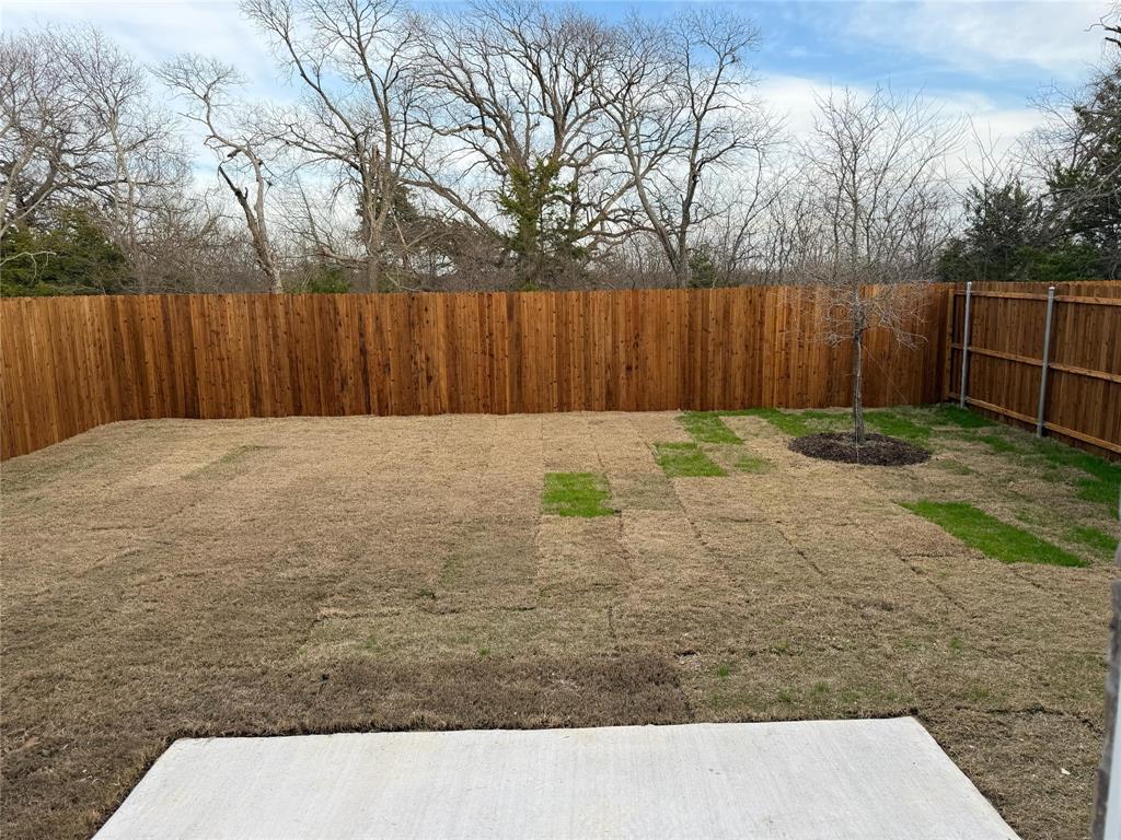 2104 Prairie Lane Melissa, TX 75454 - Photo 4 of 19 a view of backyard with wooden fence