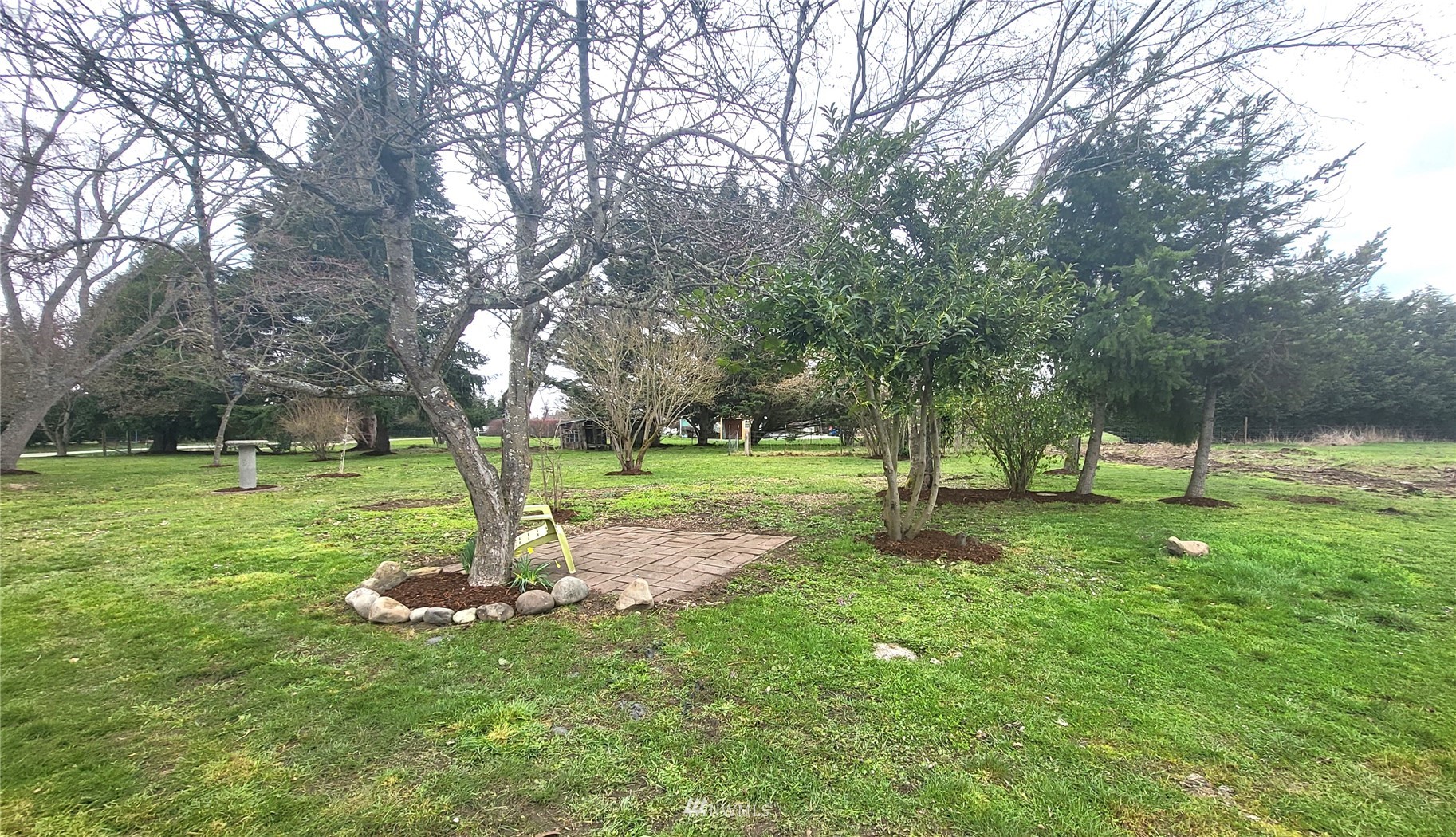 1040 Spath Road Sequim, WA 98382 - Photo 30 of 34 a view of a park with a tree