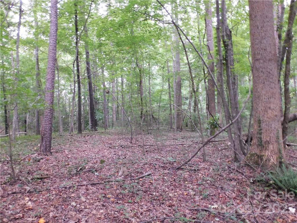 0 Old Friendship Road Catawba, SC 29704 - Photo 1 of 11 Gallery Image 1
