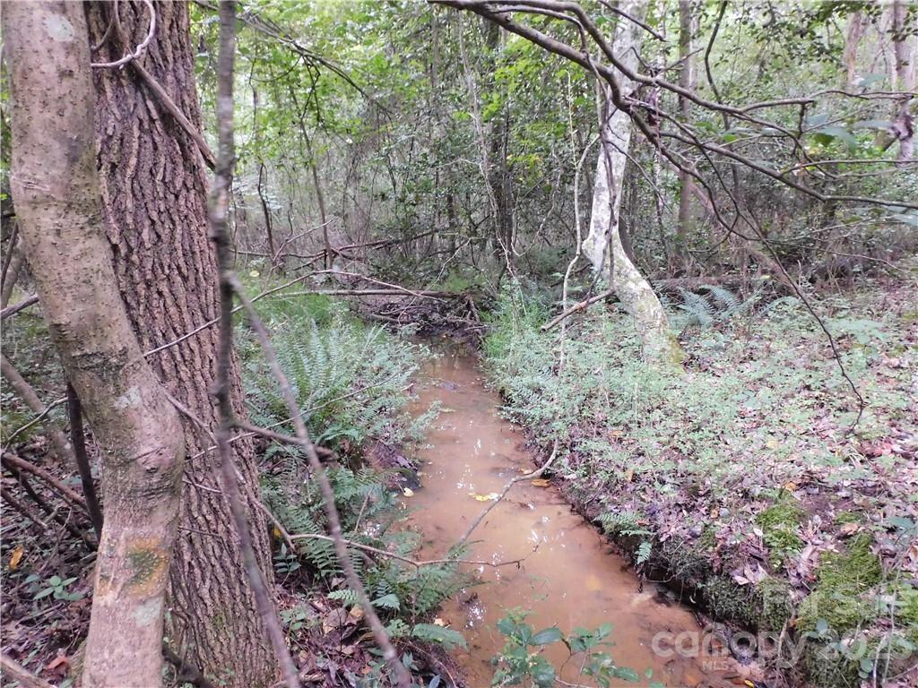 0 Old Friendship Road Catawba, SC 29704 - Photo 2 of 11 Gallery Image 2