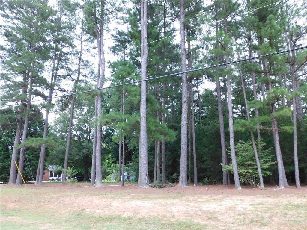 0 Old Friendship Road Catawba, SC 29704 - Photo 3 of 11 Gallery Image 3