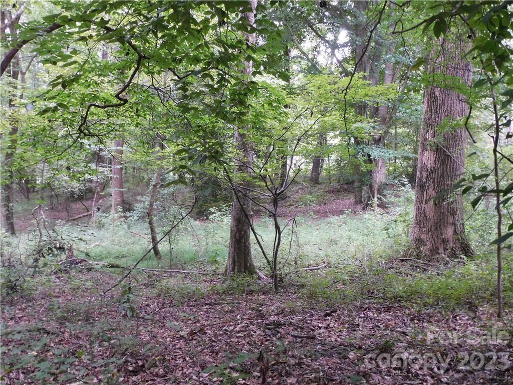 0 Old Friendship Road Catawba, SC 29704 - Photo 6 of 11 Gallery Image 6