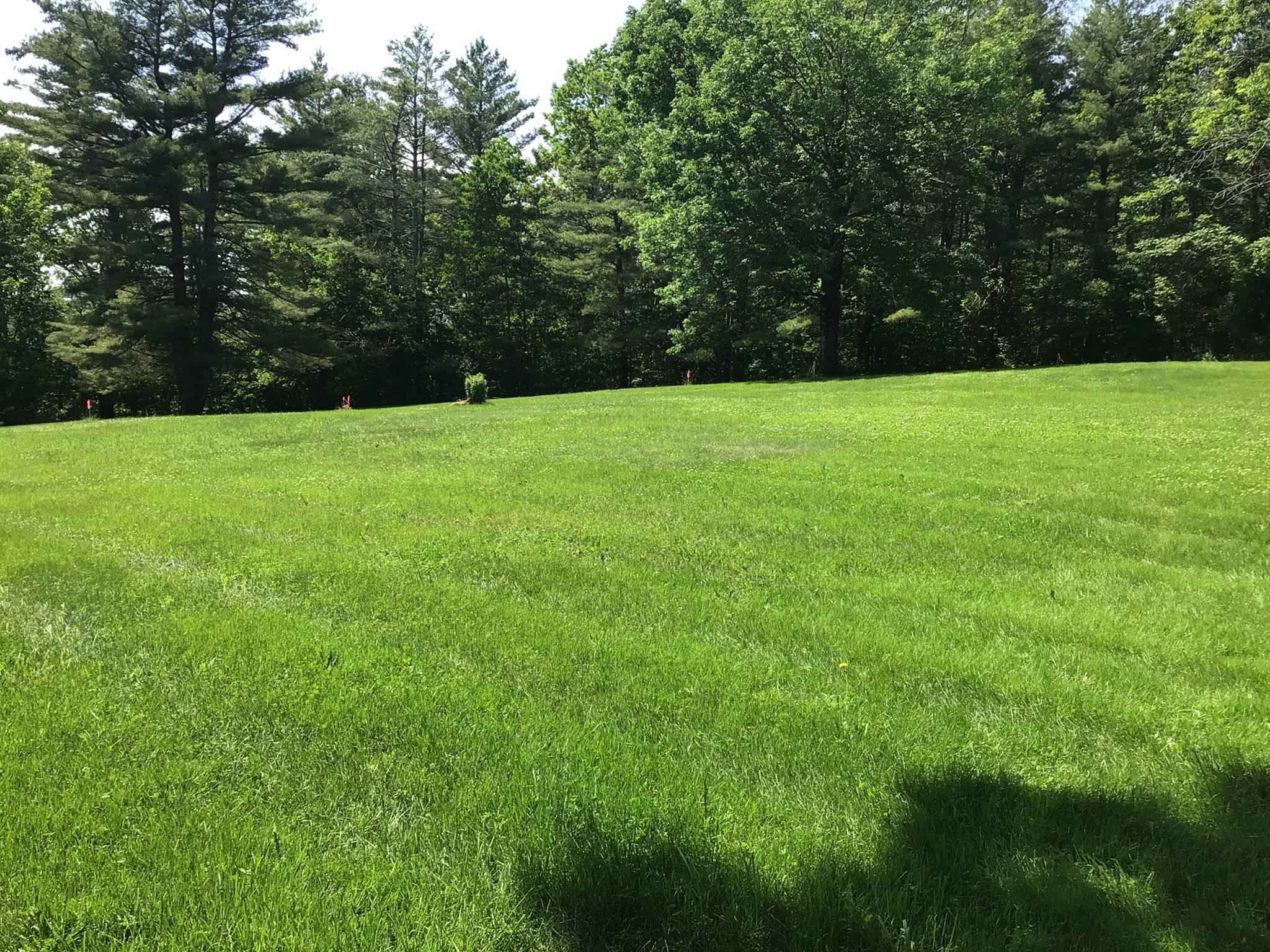 3 Weaver Farm Road Rutland, MA 01543 - Photo 6 of 6 Gallery Image 6
