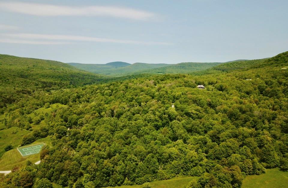 Tbd High Meadow Road Livingston Manor, NY 12758 - Photo 1 of 23 a view of a lush green forest with a lake