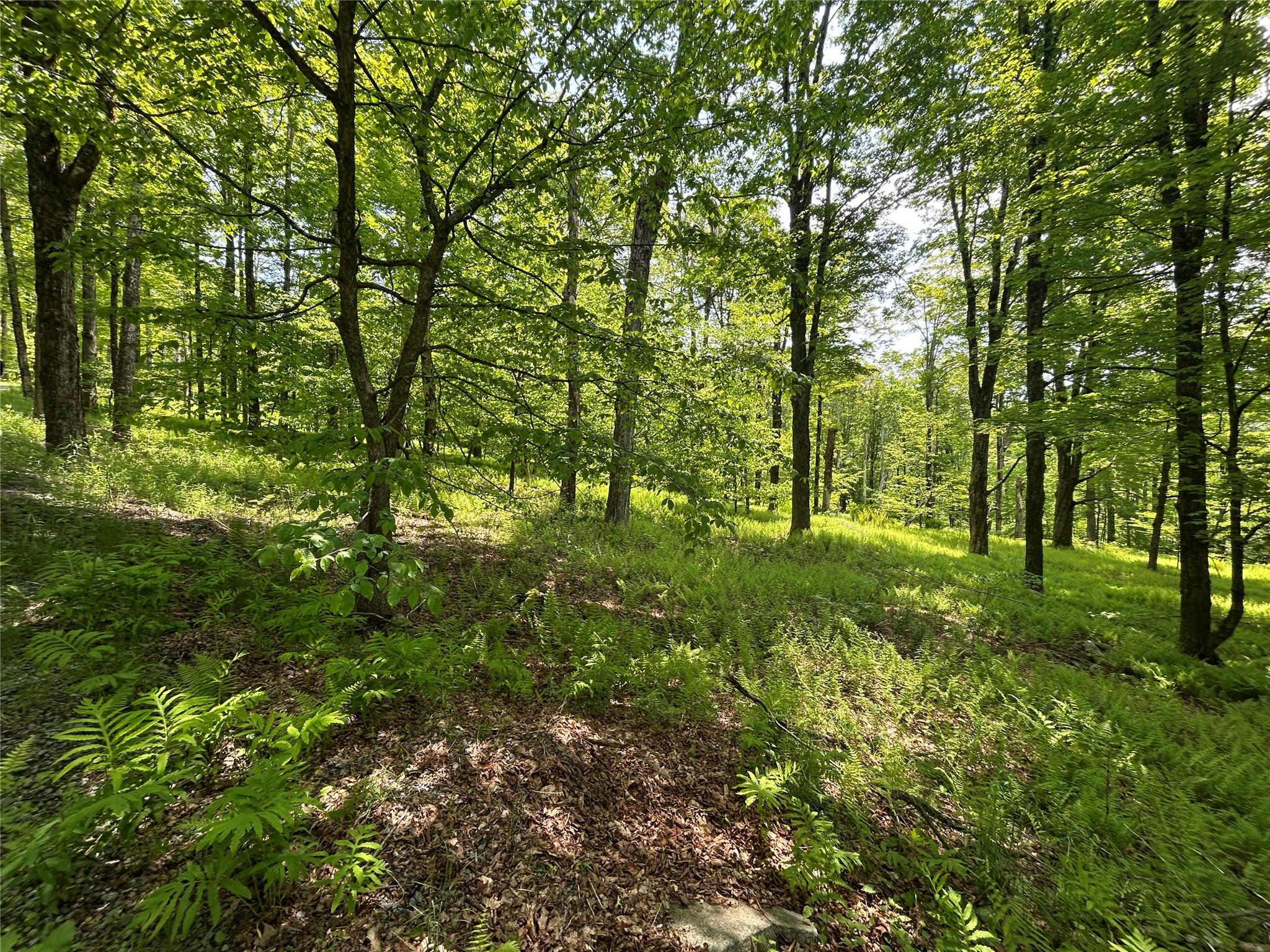 Tbd High Meadow Road Livingston Manor, NY 12758 - Photo 11 of 23 a view of outdoor space and yard